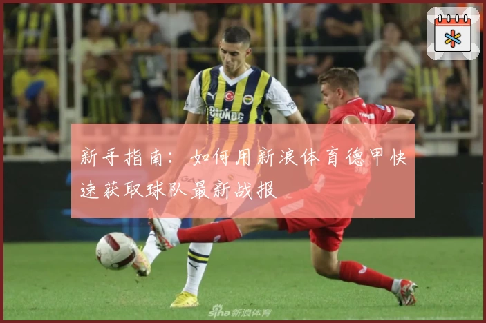 新手指南：如何用新浪体育德甲快速获取球队最新战报