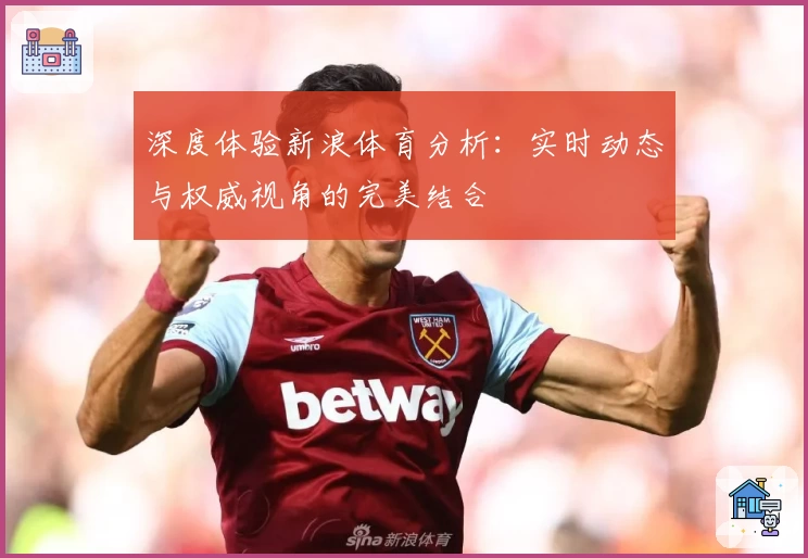 深度体验新浪体育分析：实时动态与权威视角的完美结合