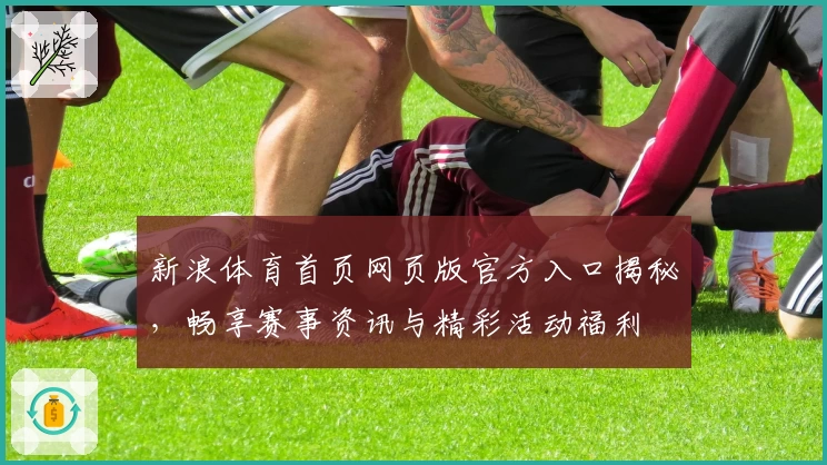 新浪体育首页网页版官方入口揭秘，畅享赛事资讯与精彩活动福利