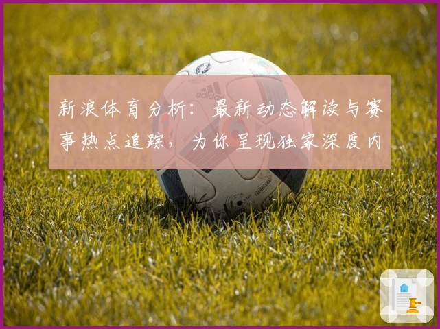 新浪体育分析：最新动态解读与赛事热点追踪，为你呈现独家深度内容
