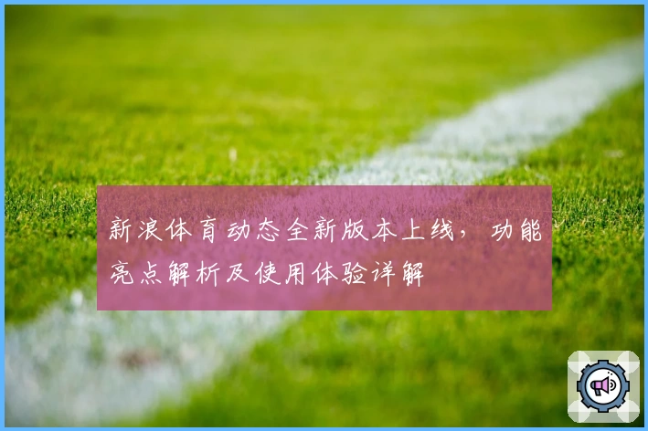 新浪体育动态全新版本上线，功能亮点解析及使用体验详解
