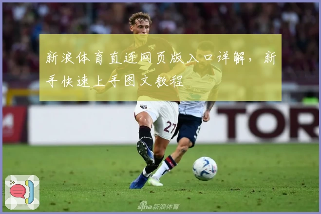 新浪体育直连网页版入口详解,新手快速上手图文教程