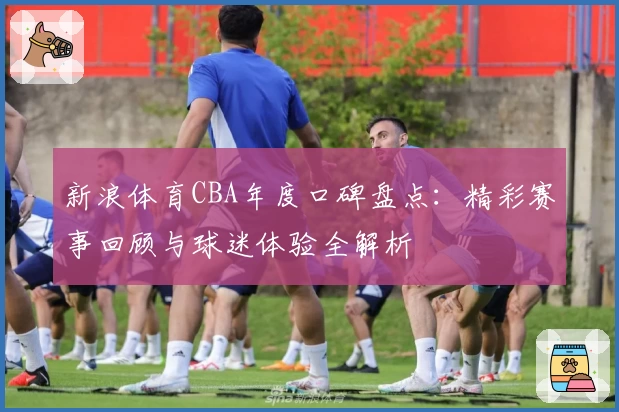 新浪体育CBA年度口碑盘点：精彩赛事回顾与球迷体验全解析