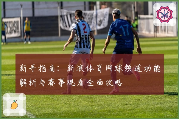 新手指南：新浪体育网球频道功能解析与赛事观看全面攻略